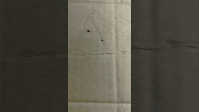 1000004768.mp4