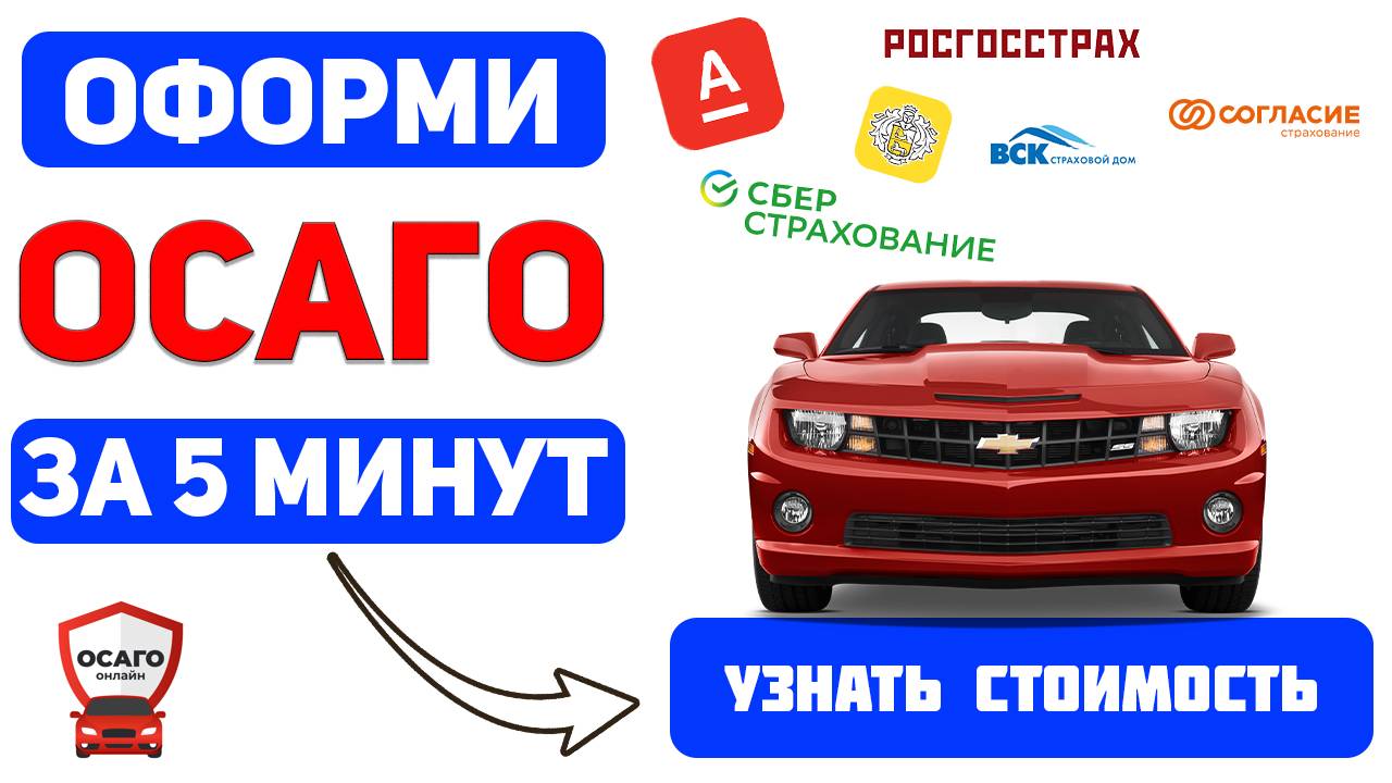 осаго на год