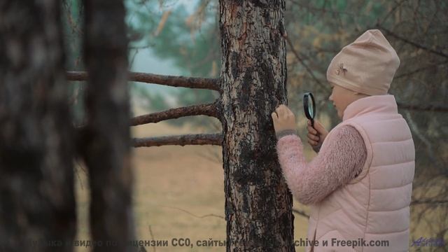 Мелодия для тех, кто целуется на пароме под крики чаек - Disfraz (LIV) -- opo -- Estudios Indigenifo