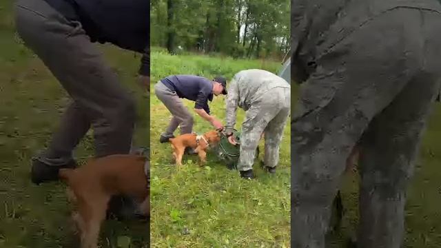 14 июня.mp4