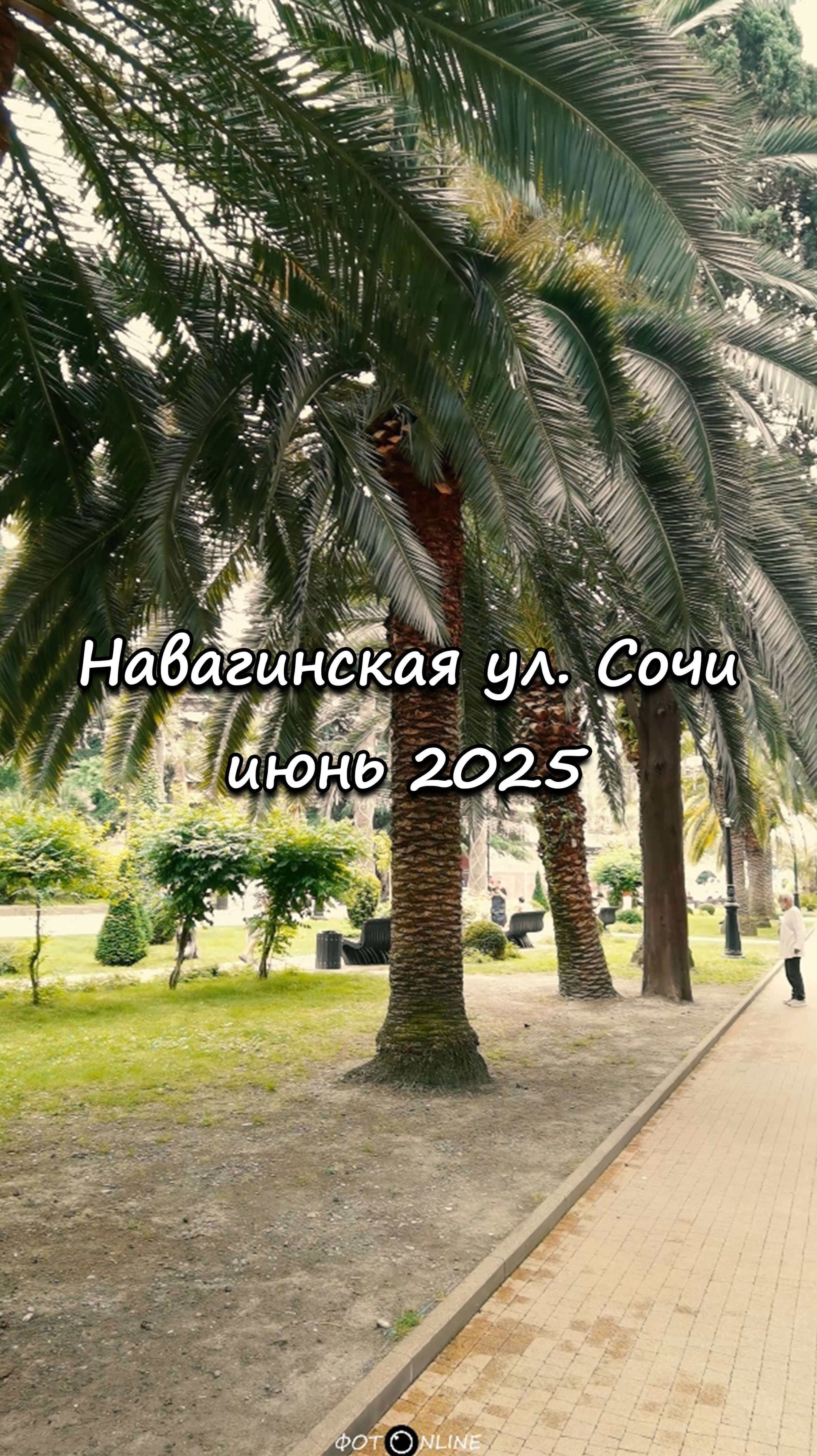 Навагинская улица, Сочи. Июнь 2025