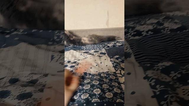 1000015586.mp4