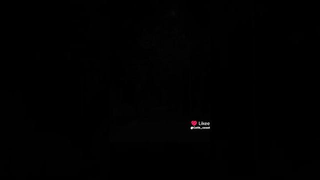 подборка видео из лайка(видео мои)