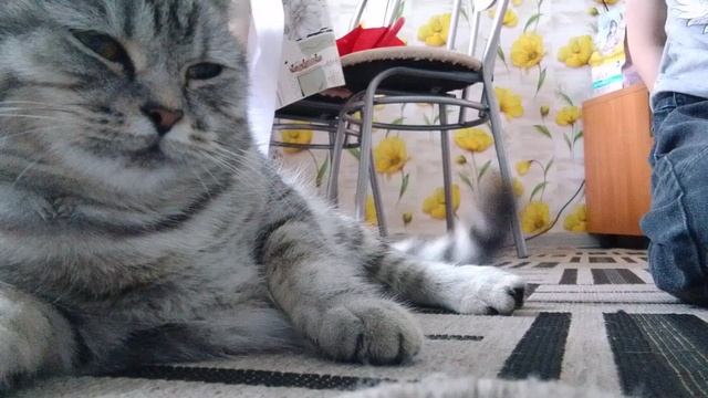 юбилей видео клип с видио