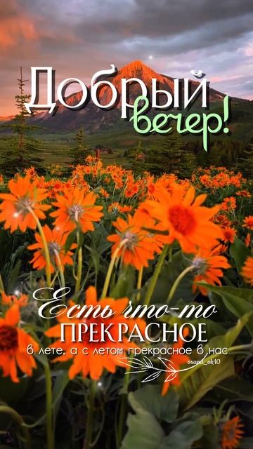 #добрыйвечер