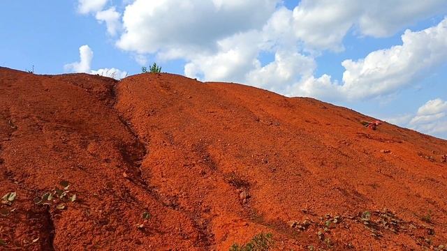 7.06.2025г. Это наш день!!! День Рождения!
