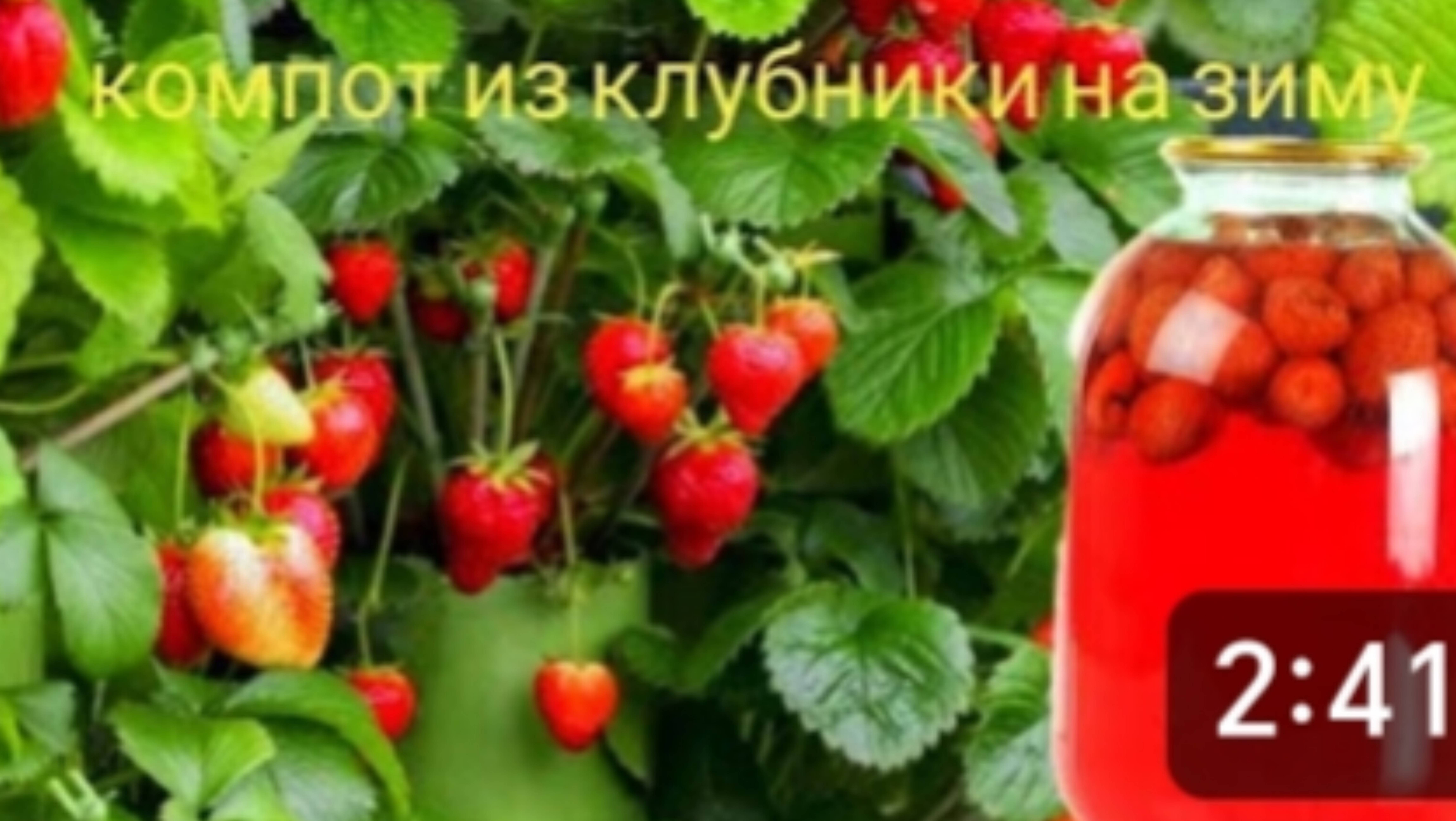 КОМПОТ из КЛУБНИКИ 🍓🍓🍓 на зиму. ПРОСТОЙ и КЛАССИЧЕСКИЙ рецепт. 🍓🍓🍓КЛУБНИЧНЫЙ КОМПОТ.