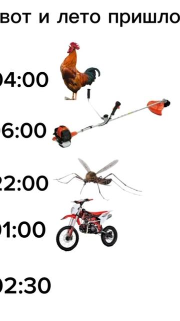 Летнее расписание 😀