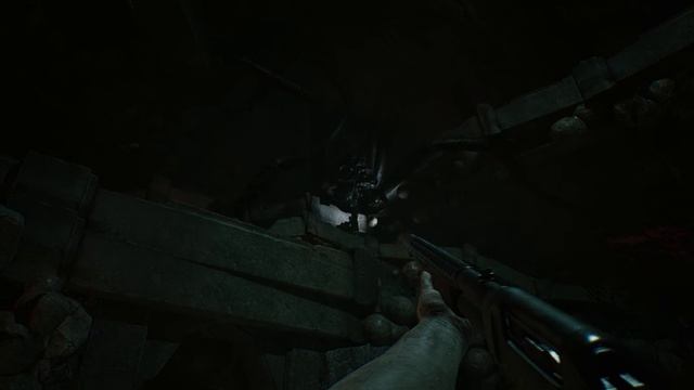 The Bornless Трейлер игрового процесса