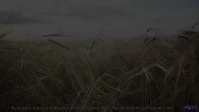 Звук заставляет дышать глубже на каждом кадре - Is Real -- Derek Clegg -- Good Graces