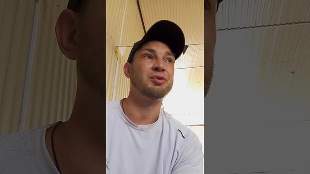отношение к добровольцам