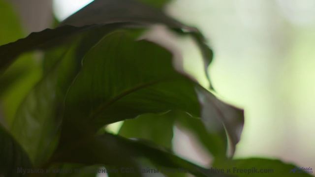 Музыка, которая делает каждый поворот маршрута поцелуем судьбы - Violette -- God is gay -- Tourne po