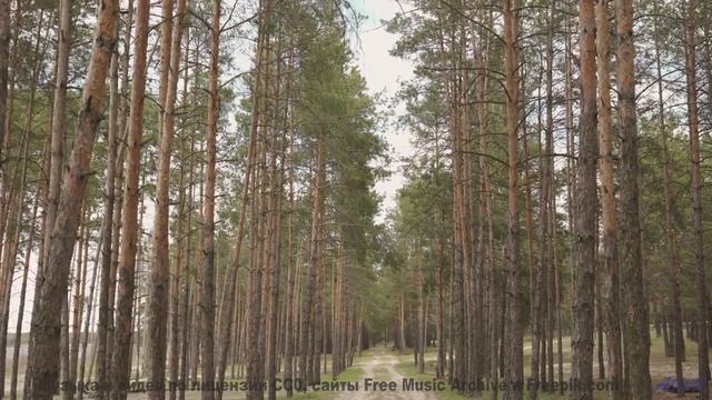 Каждый кадр под эту мелодию - праздник для глаз - Smokey-Mountains -- Ketsa -- The New World