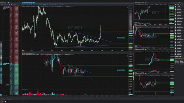 80-Bidusdt-Long-Profit-09-06-2025-20-52-14