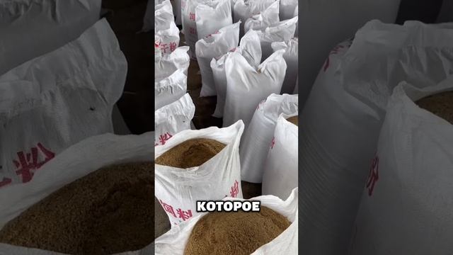 Китайцы теперь не выбрасывают еду