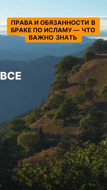 Права и обязанности в браке по исламу — что важно знать
