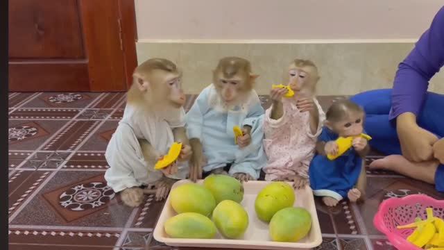 Обезьянки 4 ЛАПУСЕЧКИ маму целуют обнимают на руки залезают пищат кушать просят Едят манго взахлеб м