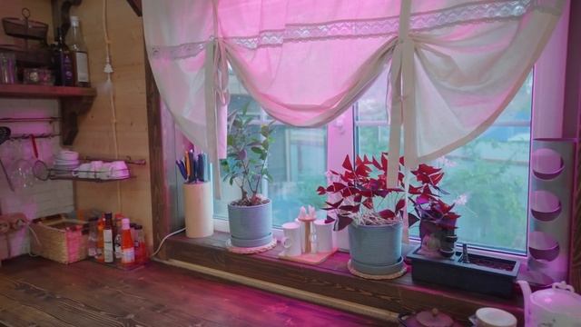 Дом-усадьба за 5 миллионов рублей. Функциональная планировка, зимний сад и будущий бассейн.