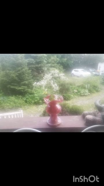 Это Я Приехала К Маме В Город