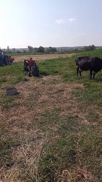 соседские мальчишки на мотоблоке помогают. спасибо