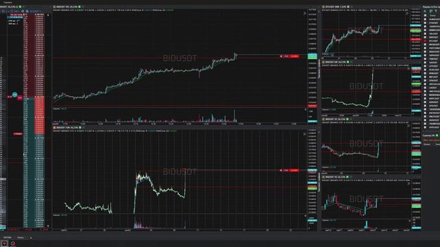 2-Bidusdt-Short-Stoploss-09-06-2025-12-43-07
