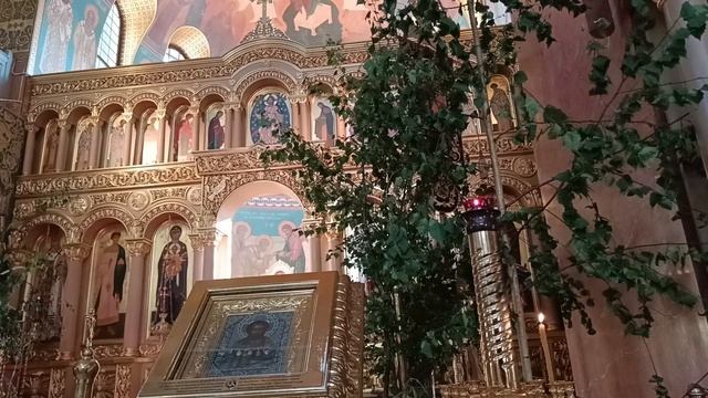 VID_20250614_093739