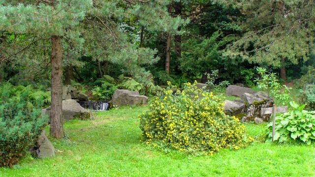 Японский сад в Главном Ботаническом саду Москвы.