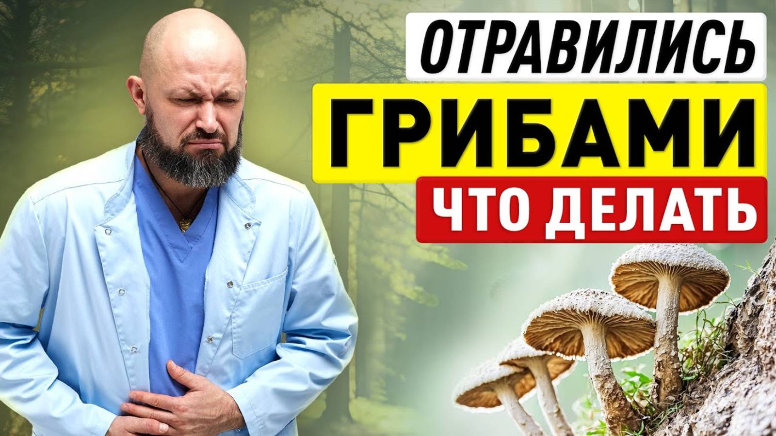 ЧТО ДЕЛАТЬ ПРИ ОТРАВЛЕНИИ ГРИБАМИ Симптомы и первая помощь Советы как не отравиться грибами