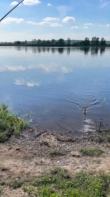 У вас с водкой или пивом?