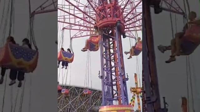1000593300.mp4