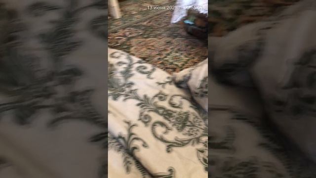 Соник аниме 3 сезон 4 серия телеграф