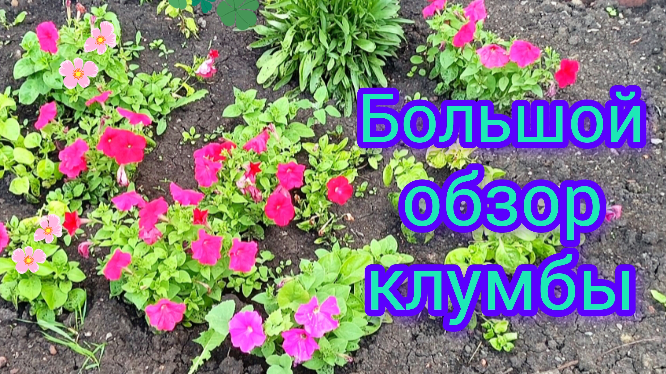 🌺Обзор🌸клумбы🌺 #цветы #сад огород #красотаприроды