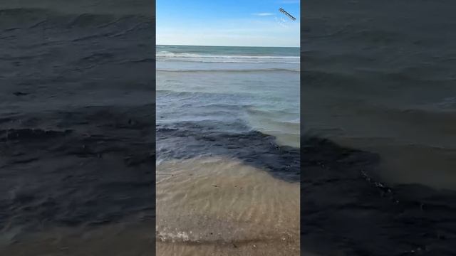 SOS ANAPA 2025.mp4