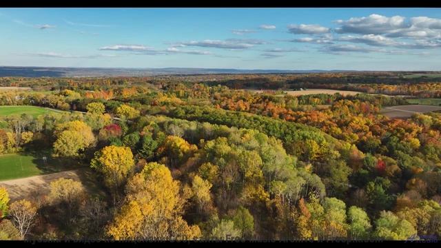 Почему волны здесь звучат как голоса - Tube TV -- HoliznaPATREON -- Never Forget