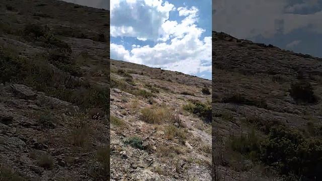 Иду по горе Алчак-Кая в Судаке на Чёрном море