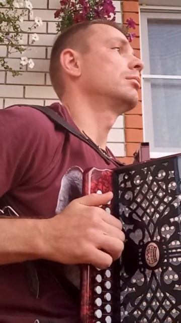 Ночь, голубая ночь  Shorts