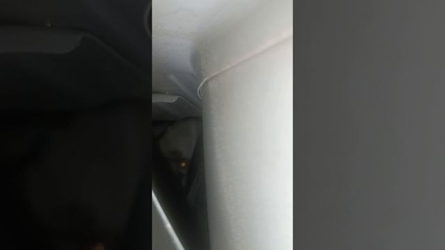 1000257014.mp4