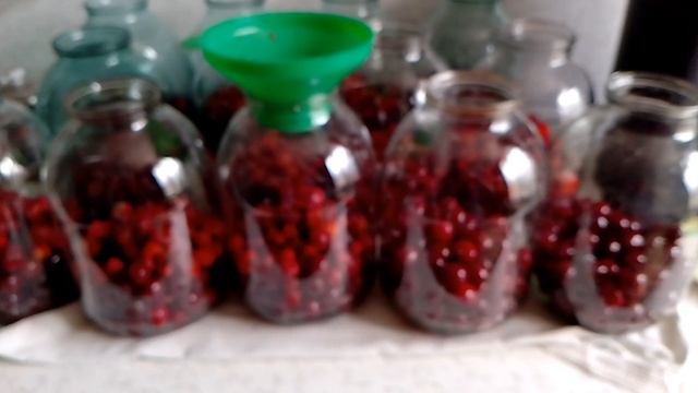 продолжаю закручивать 🍒🍓день второй🤷♂️ 🌹