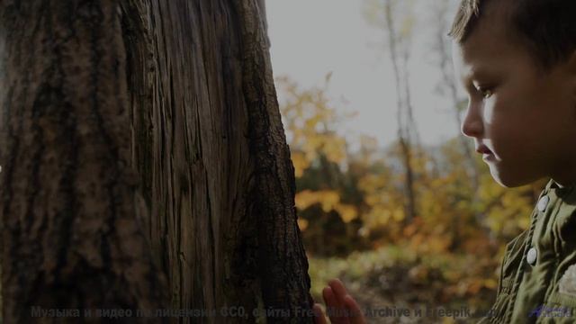 Природа становится личной вселенной под этот трек - The Call -- Podington Bear -- The Hump (Box Set