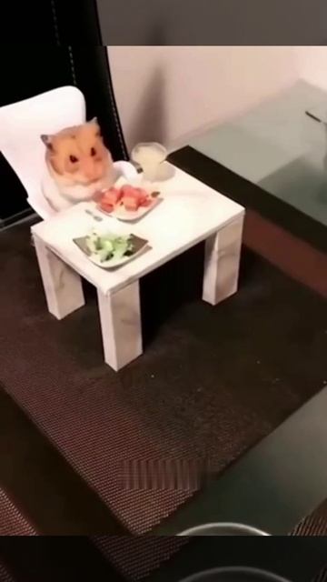 Идеальный ужин