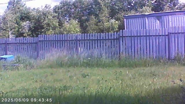 О червях