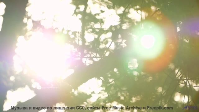 Почему это видео вызывает такие сильные эмоции - Grow In The Dark -- Ketsa -- Darkness and Light