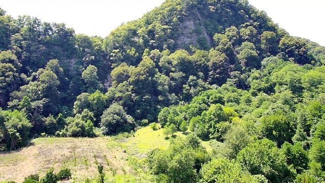 Село Дзыгута в Абхазии