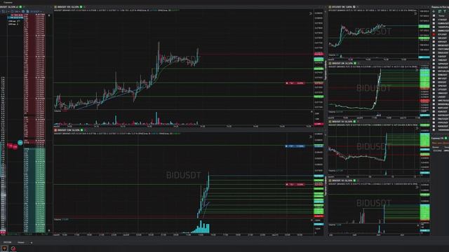 22-Bidusdt-Long-Profit-09-06-2025-14-20-02