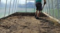 pro.hozyaistvo Секреты идеальной теплицы: что сделать перед посадкой.