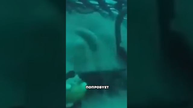 Зачем сбрасывать огромные камни в воду _