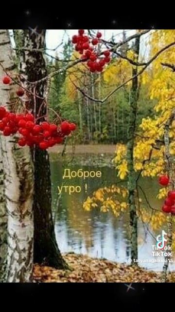 Доброе утро