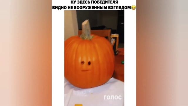 Мега приколы 34