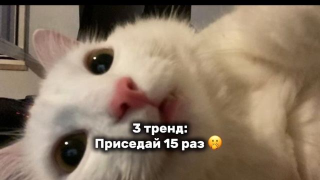 Танцуй если знаешь этот тренд 2025 года ,а если не знаешь то выполняй задания 🤟🏻💫