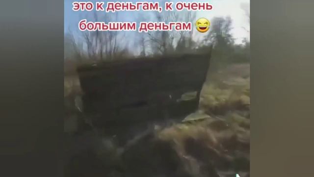 Мега пирколы 18